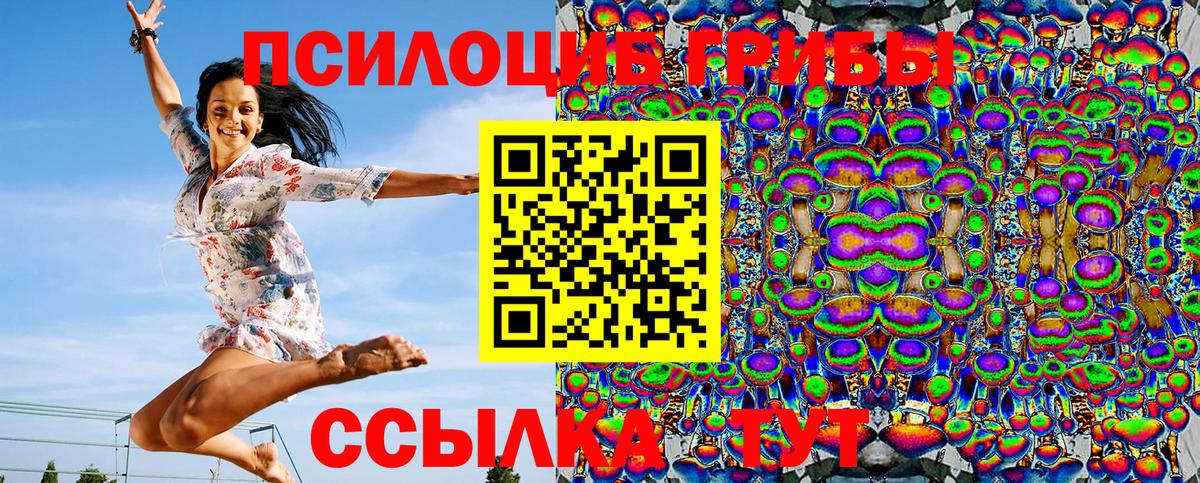 Псилоцибиновые грибы прущие грибы  Вход с VPN  Красный Сулин 